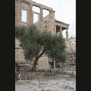 Athens - Acropolis