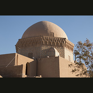 Yazd - Gatto