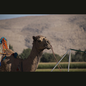 Naqsh-e-Rostam