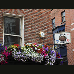 Dublin