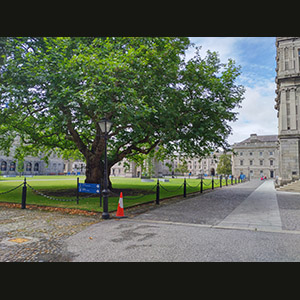 Dublino - Trinity College