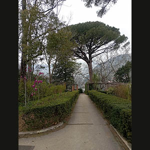 Ravello