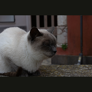 Anacapri
