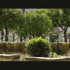 Napoli - Chiesa di Santa Chiara