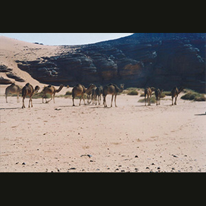 Libya