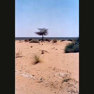 Libya