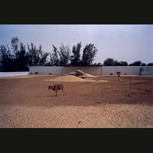 Libya
