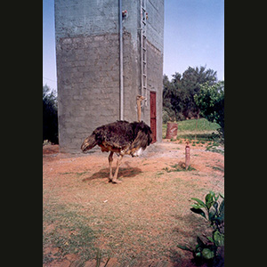 Libya