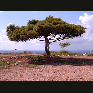 Malta