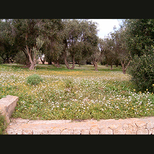 Malta