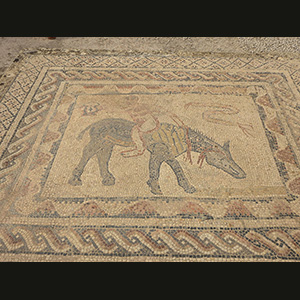 Volubilis