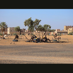 Merzouga