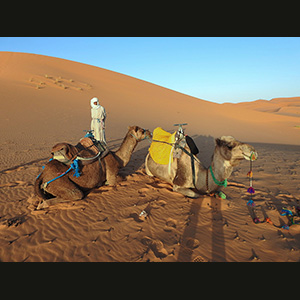 Merzouga