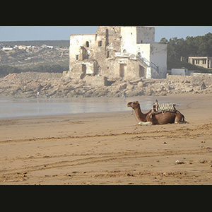 Essaouira