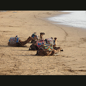 Essaouira