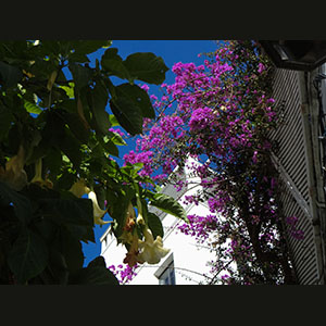 Tangier