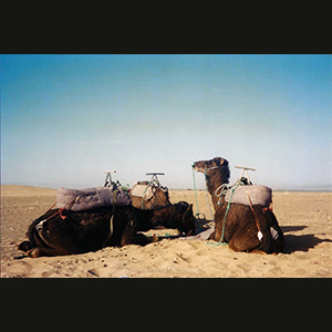 Zagora
