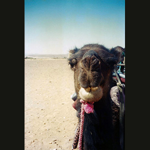 Zagora