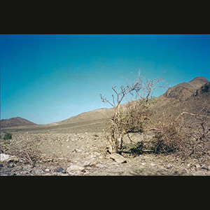 Zagora