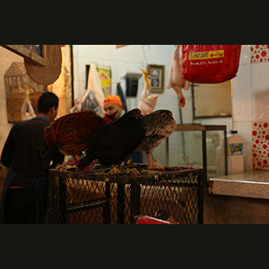 Fes