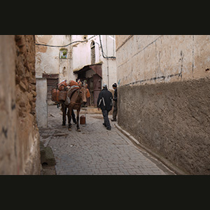 Fes
