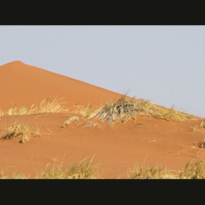 Sossusvlei