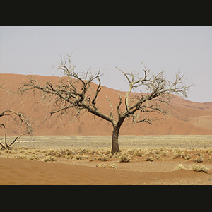 Sossusvlei