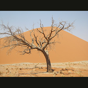 Sossusvlei