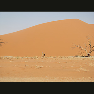 Sossusvlei