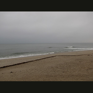Skeleton Coast