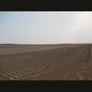 Skeleton Coast