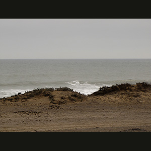 Skeleton Coast