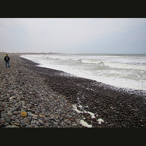 Skeleton Coast