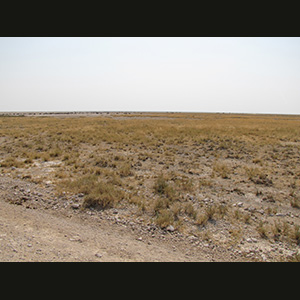 Etosha