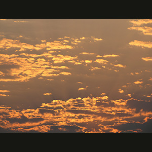 Etosha