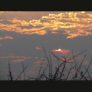 Etosha