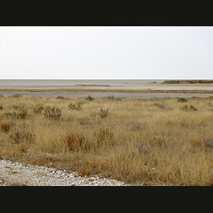 Etosha