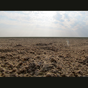 Etosha