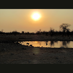 Etosha