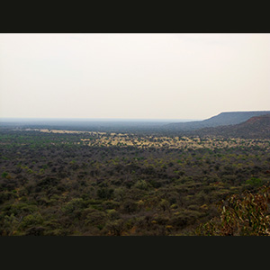 Waterberg