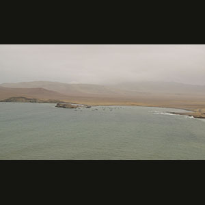 Paracas