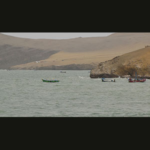 Paracas