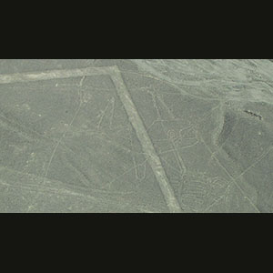 Linee di Nasca - Balena