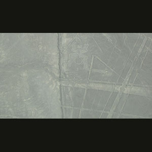 Nazca Lines - Spider