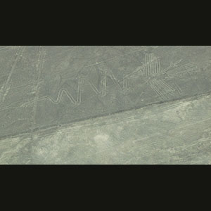 Nazca Lines - Bird