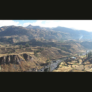 Colca