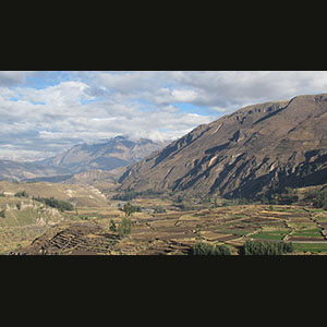 Colca