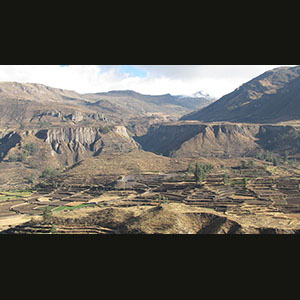 Colca