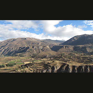 Colca