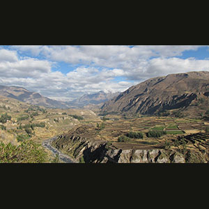 Colca